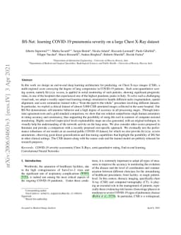 BS-Net: learning COVID-19 pneumonia severity on a large Chest X-Ray
  dataset