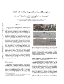SEKD: Self-Evolving Keypoint Detection and Description