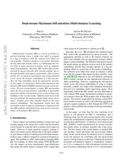Dual-stream Maximum Self-attention Multi-instance Learning