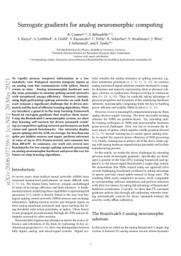 Surrogate gradients for analog neuromorphic computing