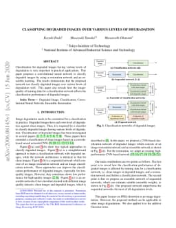 Classifying degraded images over various levels of degradation