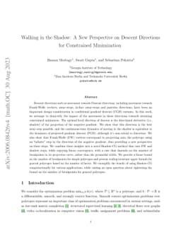 Walking in the Shadow: A New Perspective on Descent Directions for
  Constrained Minimization