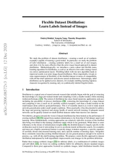 Flexible Dataset Distillation: Learn Labels Instead of Images