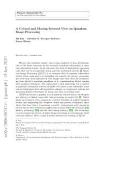 A Critical and Moving-Forward View on Quantum Image Processing