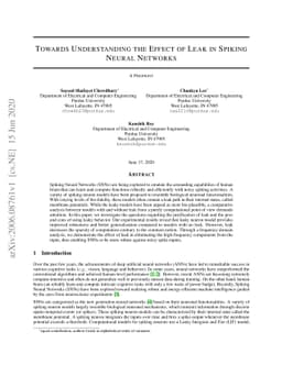 Towards Understanding the Effect of Leak in Spiking Neural Networks