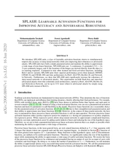 SPLASH: Learnable Activation Functions for Improving Accuracy and
  Adversarial Robustness