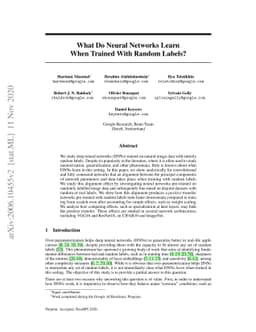What Do Neural Networks Learn When Trained With Random Labels?