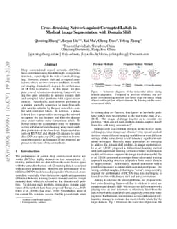 Cross-denoising Network against Corrupted Labels in Medical Image
  Segmentation with Domain Shift