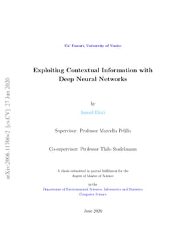 Exploiting Contextual Information with Deep Neural Networks