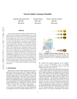 Neural Cellular Automata Manifold