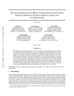 Human-Expert-Level Brain Tumor Detection Using Deep Learning with Data
  Distillation and Augmentation