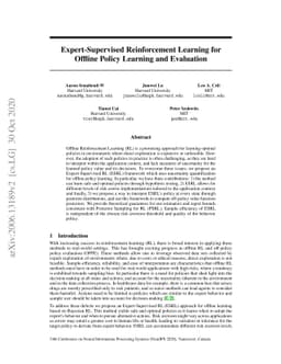 Expert-Supervised Reinforcement Learning for Offline Policy Learning and
  Evaluation