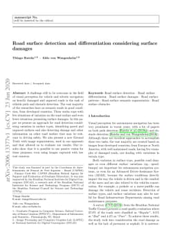 Road surface detection and differentiation considering surface damages