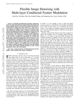 Flexible Image Denoising with Multi-layer Conditional Feature Modulation