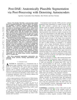 Post-DAE: Anatomically Plausible Segmentation via Post-Processing with
  Denoising Autoencoders