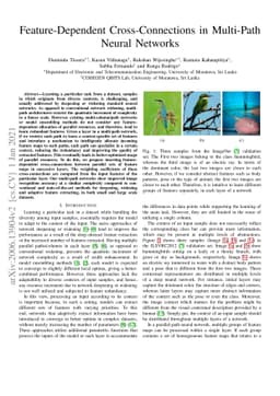 Feature-Dependent Cross-Connections in Multi-Path Neural Networks