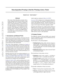 Data-dependent Pruning to find the Winning Lottery Ticket