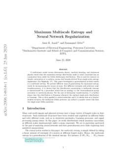 Maximum Multiscale Entropy and Neural Network Regularization