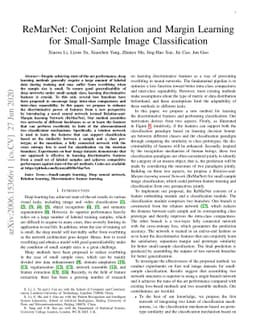 ReMarNet: Conjoint Relation and Margin Learning for Small-Sample Image
  Classification