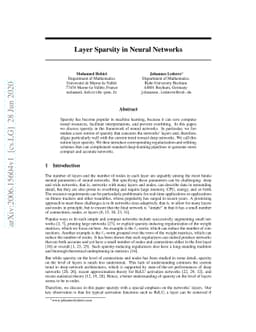 Layer Sparsity in Neural Networks