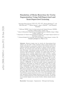 Simulation of Brain Resection for Cavity Segmentation Using
  Self-Supervised and Semi-Supervised Learning