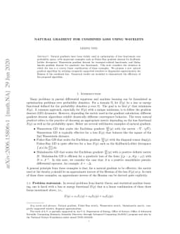 Natural Gradient for Combined Loss Using Wavelets