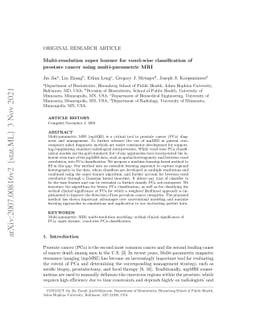 Multi-resolution Super Learner for Voxel-wise Classification of Prostate
  Cancer Using Multi-parametric MRI
