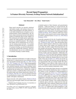 Beyond Signal Propagation: Is Feature Diversity Necessary in Deep Neural
  Network Initialization?