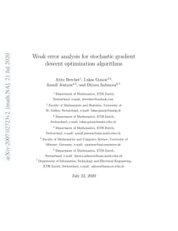 Weak error analysis for stochastic gradient descent optimization
  algorithms