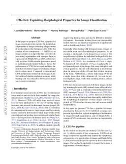 C2G-Net: Exploiting Morphological Properties for Image Classification