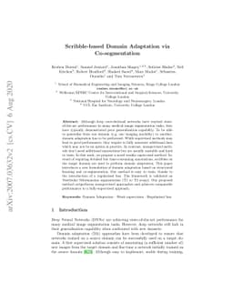 Scribble-based Domain Adaptation via Co-segmentation