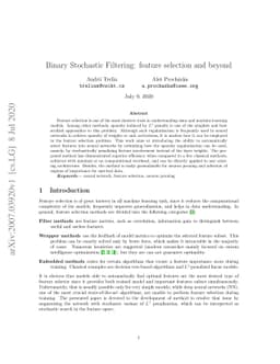 Binary Stochastic Filtering: feature selection and beyond