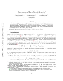 Expressivity of Deep Neural Networks