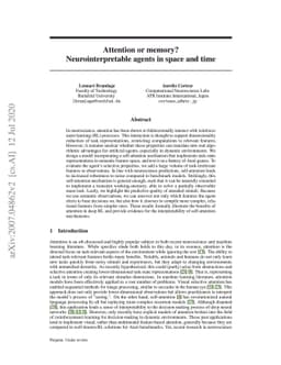 Attention or memory? Neurointerpretable agents in space and time