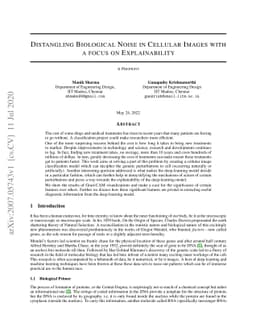 Distangling Biological Noise in Cellular Images with a focus on
  Explainability