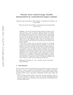Domain aware medical image classifier interpretation by counterfactual
  impact analysis