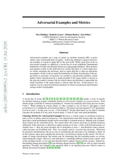 Adversarial Examples and Metrics