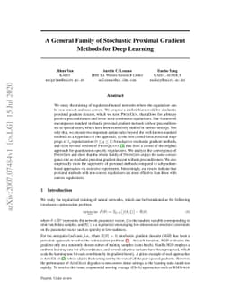 A General Family of Stochastic Proximal Gradient Methods for Deep
  Learning