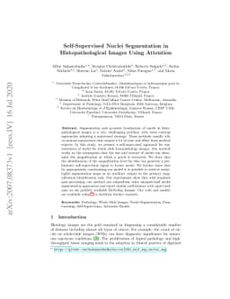 Self-Supervised Nuclei Segmentation in Histopathological Images Using
  Attention
