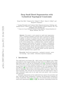 Deep Small Bowel Segmentation with Cylindrical Topological Constraints
