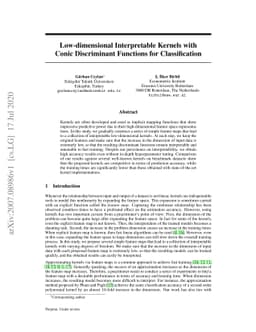 Low-dimensional Interpretable Kernels with Conic Discriminant Functions
  for Classification