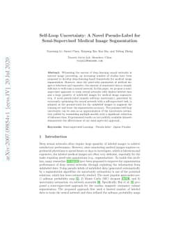 Self-Loop Uncertainty: A Novel Pseudo-Label for Semi-Supervised Medical
  Image Segmentation