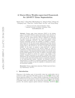 A Macro-Micro Weakly-supervised Framework for AS-OCT Tissue Segmentation