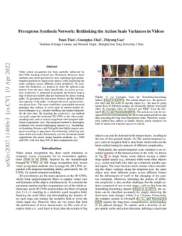 Perceptron Synthesis Network: Rethinking the Action Scale Variances in
  Videos