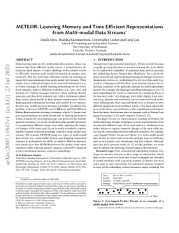 METEOR: Learning Memory and Time Efficient Representations from
  Multi-modal Data Streams
