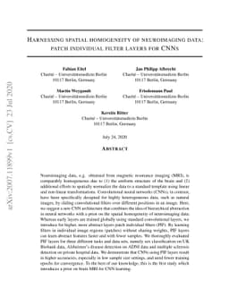 Harnessing spatial homogeneity of neuroimaging data: patch individual
  filter layers for CNNs