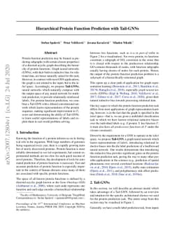 Hierarchical Protein Function Prediction with Tail-GNNs