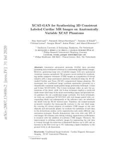 XCAT-GAN for Synthesizing 3D Consistent Labeled Cardiac MR Images on
  Anatomically Variable XCAT Phantoms