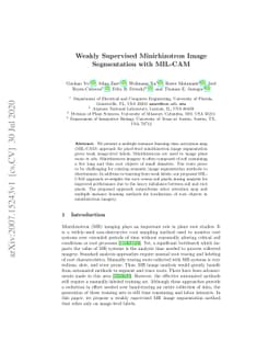 Weakly Supervised Minirhizotron Image Segmentation with MIL-CAM