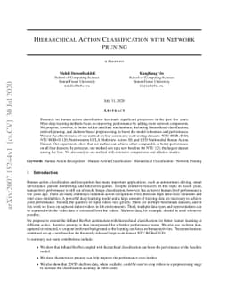 Hierarchical Action Classification with Network Pruning